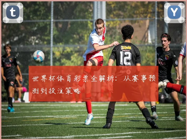 世界杯体育彩票全解析：从赛事预测到投注策略