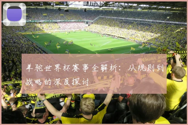 羊驼世界杯赛事全解析:从规则到战略的深度探讨