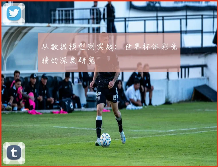 从数据模型到实战:世界杯体彩竞猜的深度研究