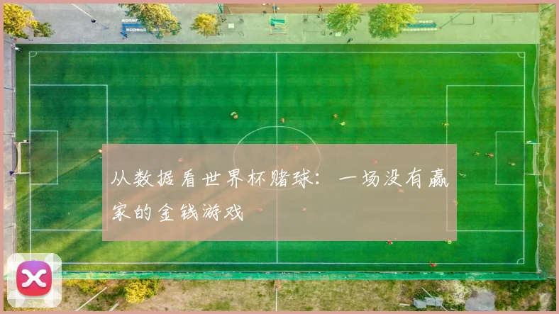 从数据看世界杯赌球:一场没有赢家的金钱游戏