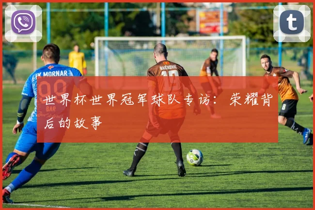 世界杯世界冠军球队专访:荣耀背后的故事