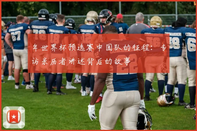 年世界杯预选赛中国队的征程：专访亲历者讲述背后的故事