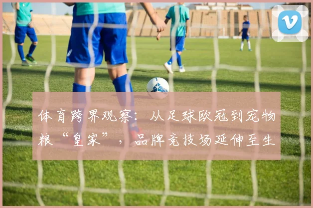 体育跨界观察：从足球欧冠到宠物粮“皇家”，品牌竞技场延伸至生活消费
