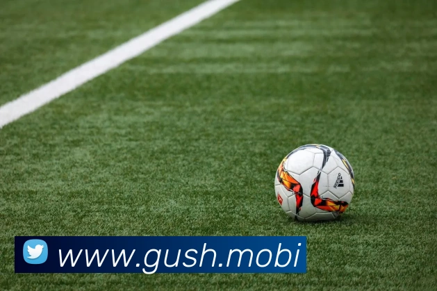 奇异果体育官方APP 体育赛事宣传图